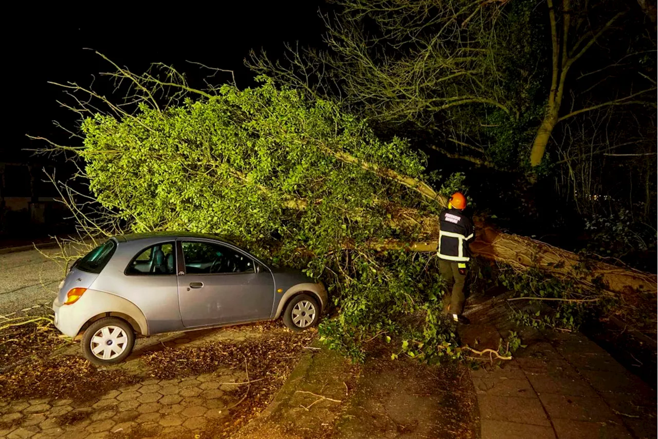 Provinzial-Konzern spürt Ruhe nach dem Sturm