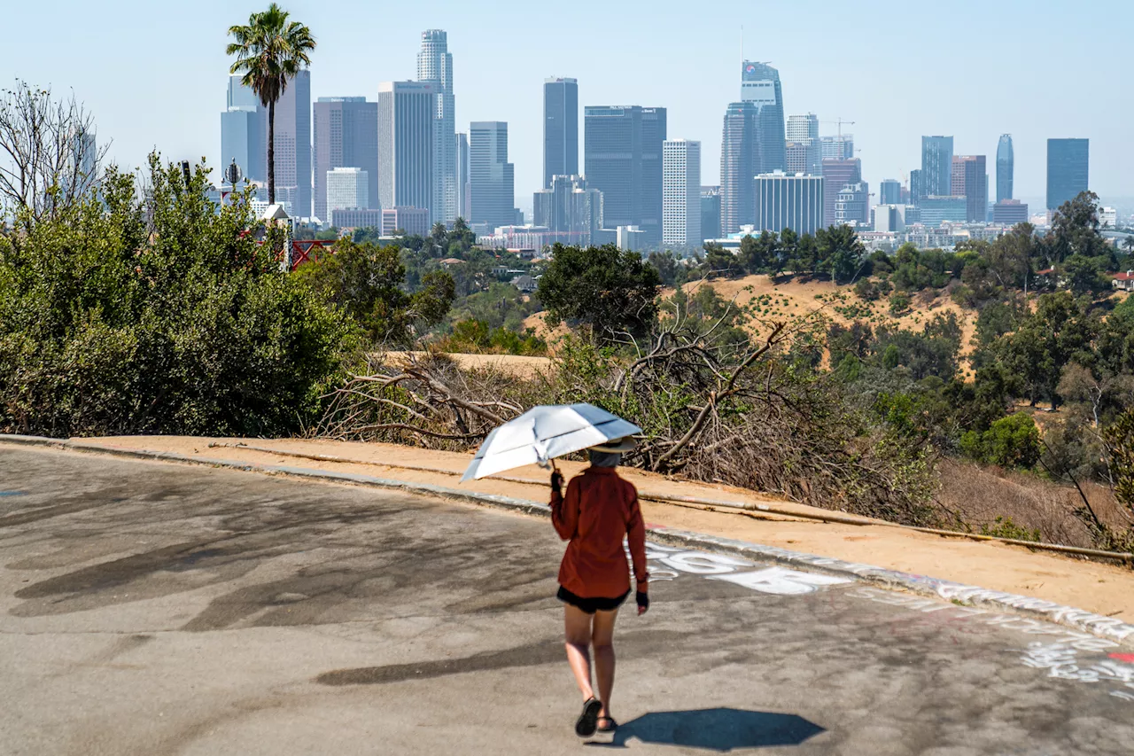 Los programas climáticos de California perderían miles de millones con el presupuesto de Newsom