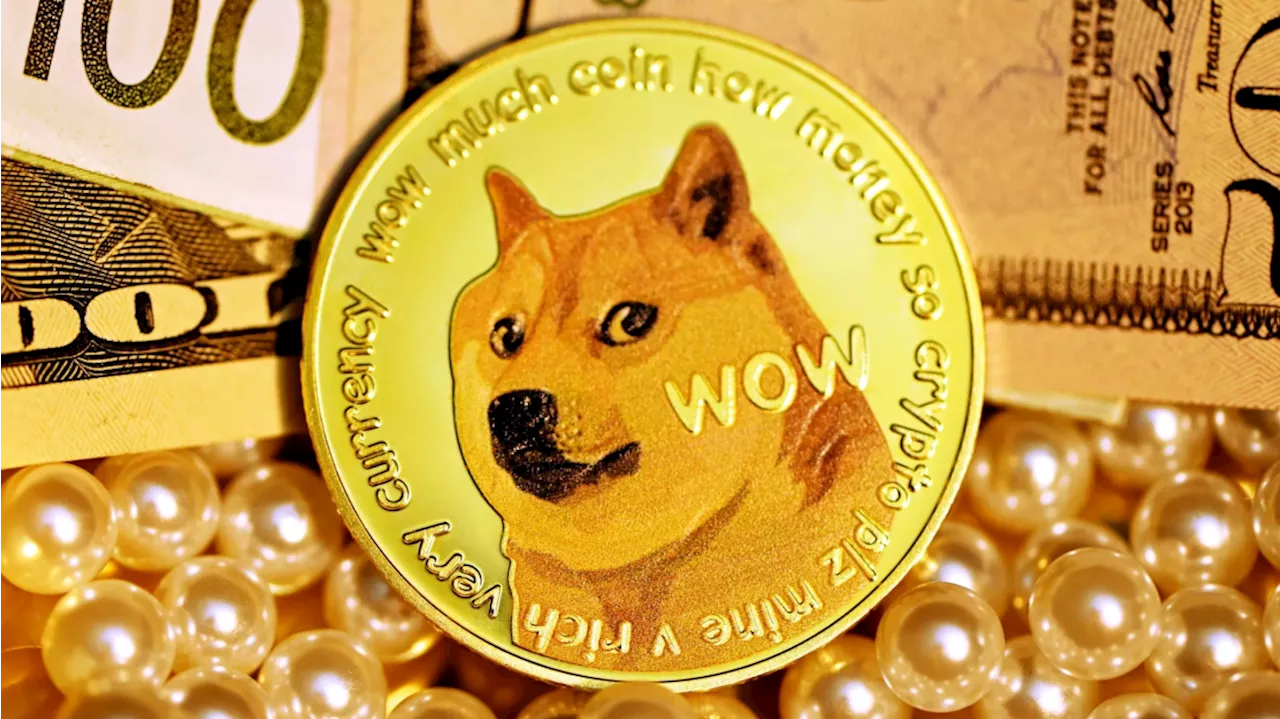 Relembre a história do meme da cachorra Kabosu, a “Doge”