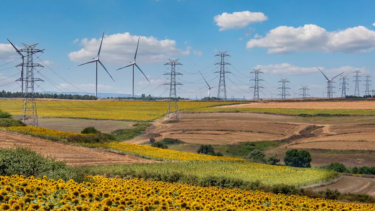 National Grid to build thousands of new electricity pylons and miles of new cables to connect to...