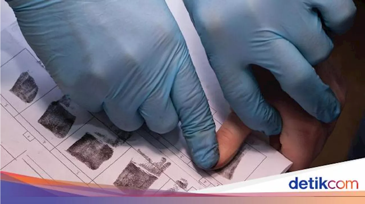 10 Fakta Unik yang Jarang Diketahui, Termasuk Ayam Bisa Hidup Tanpa Kepala