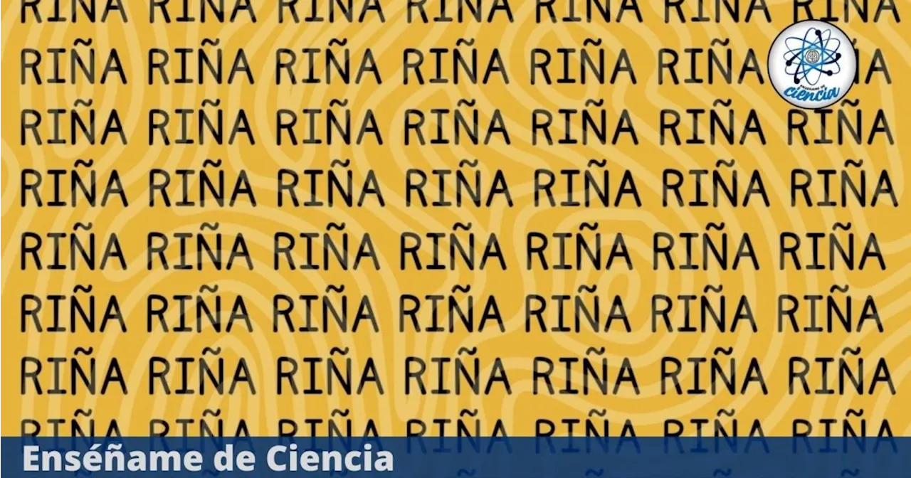 Acertijo visual: solo alguien con vista de HALCÓN logra ver la palabra “NIÑA” entre “RIÑA”