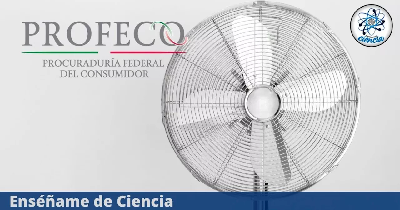 Casi nadie los compra, pero estos son los mejores y más baratos ventiladores, según PROFECO