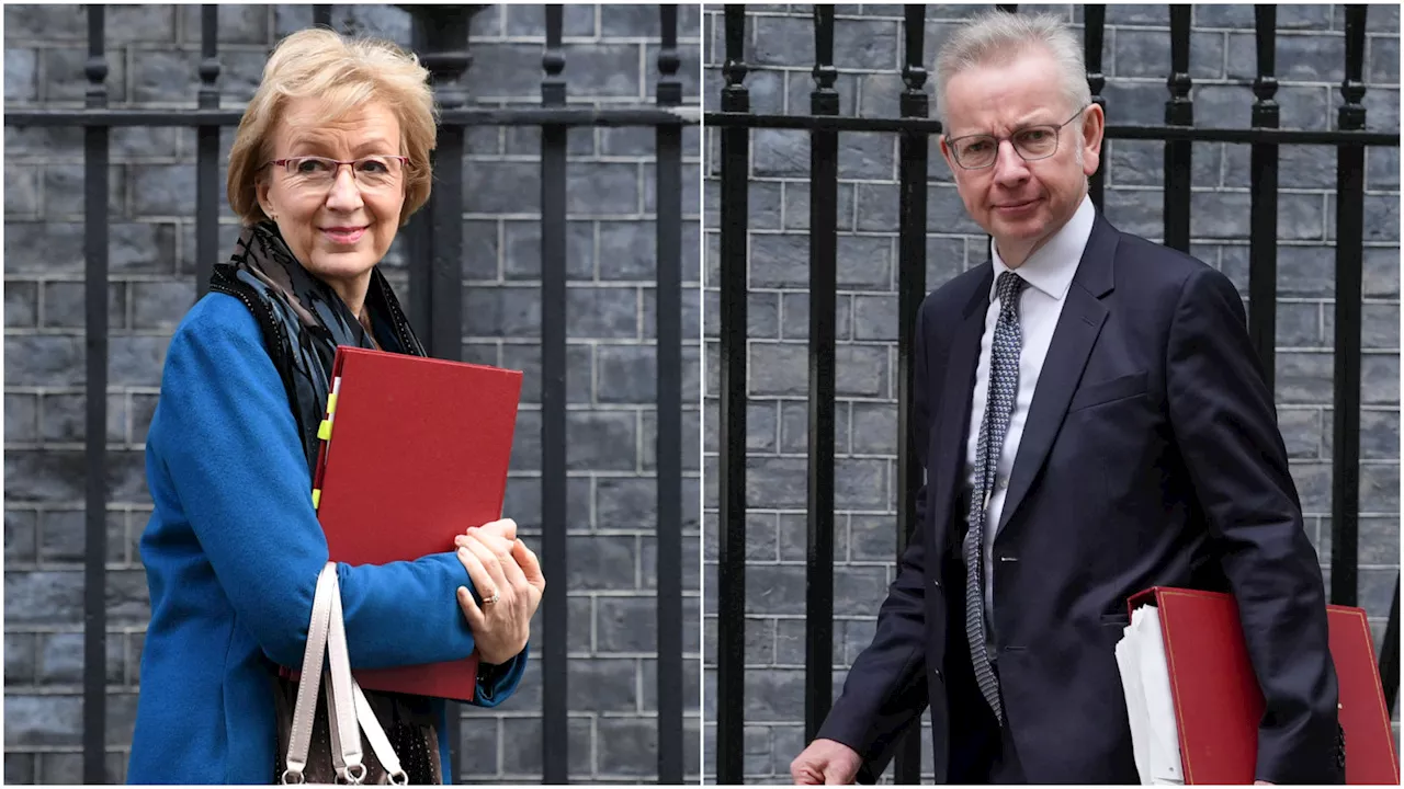 Tory MPs Michael Gove and Andrea Leadsom will not stand at the General Election