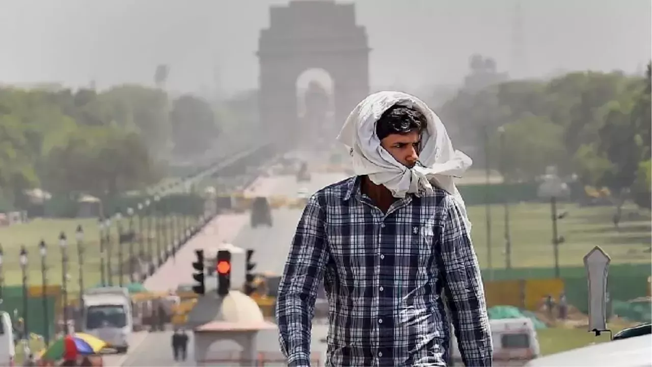 Delhi Weather: तापमान में गिरावट के बावजूद उमस भरी गर्मी से लोग रहे बेहाल; जानें चुनाव वाले दिन कैसा रहेगा मौसम