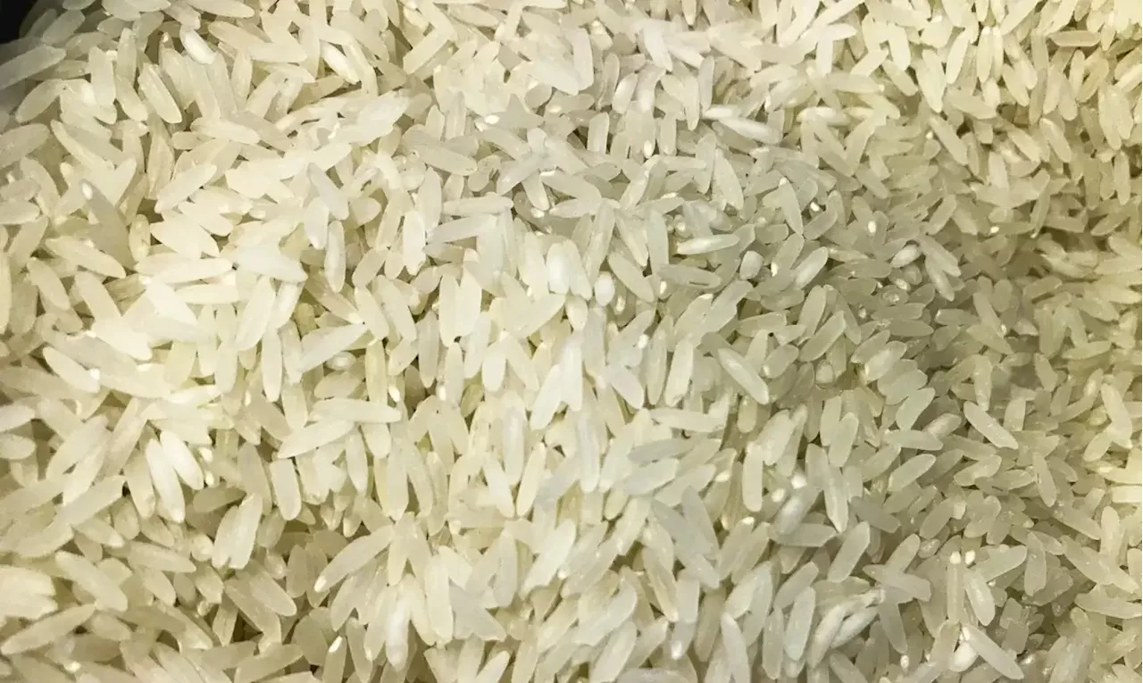 Arroz: produtores e indústrias do RS pedem ao Ministério da Agricultura revisão das medidas