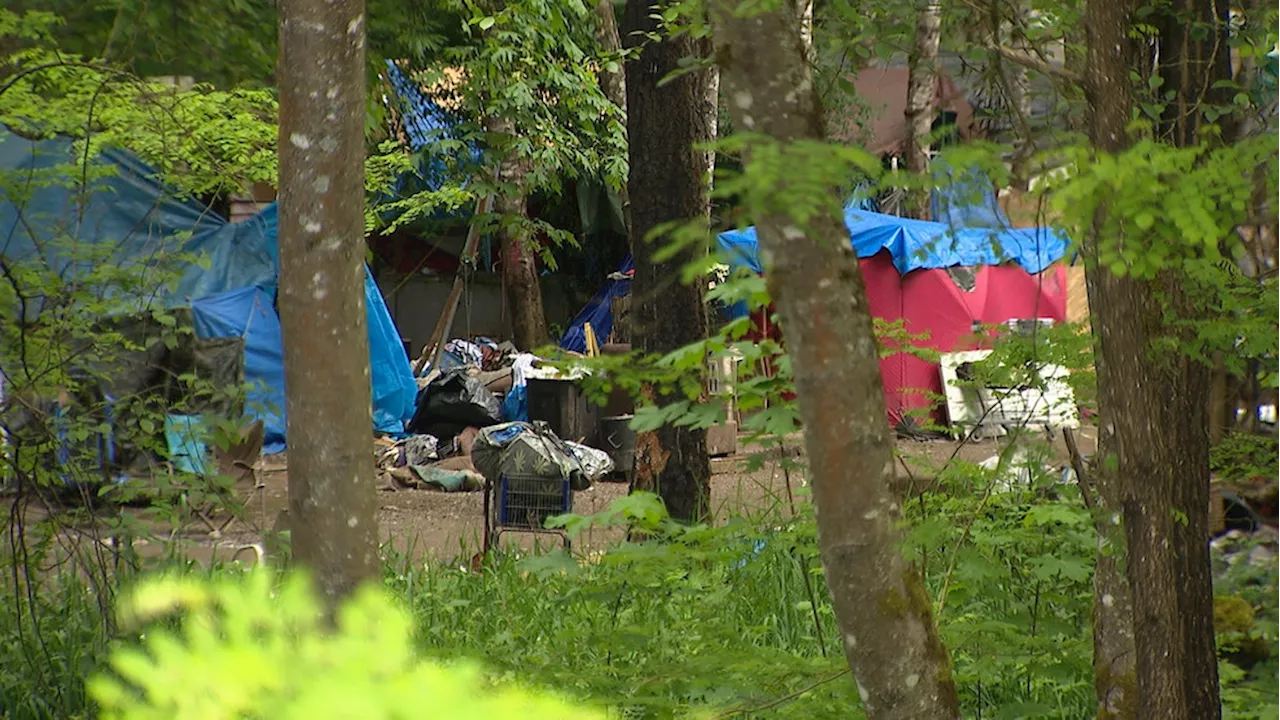 Documents detail chaos at giant homeless camp where Olympia firefighters were assaulted