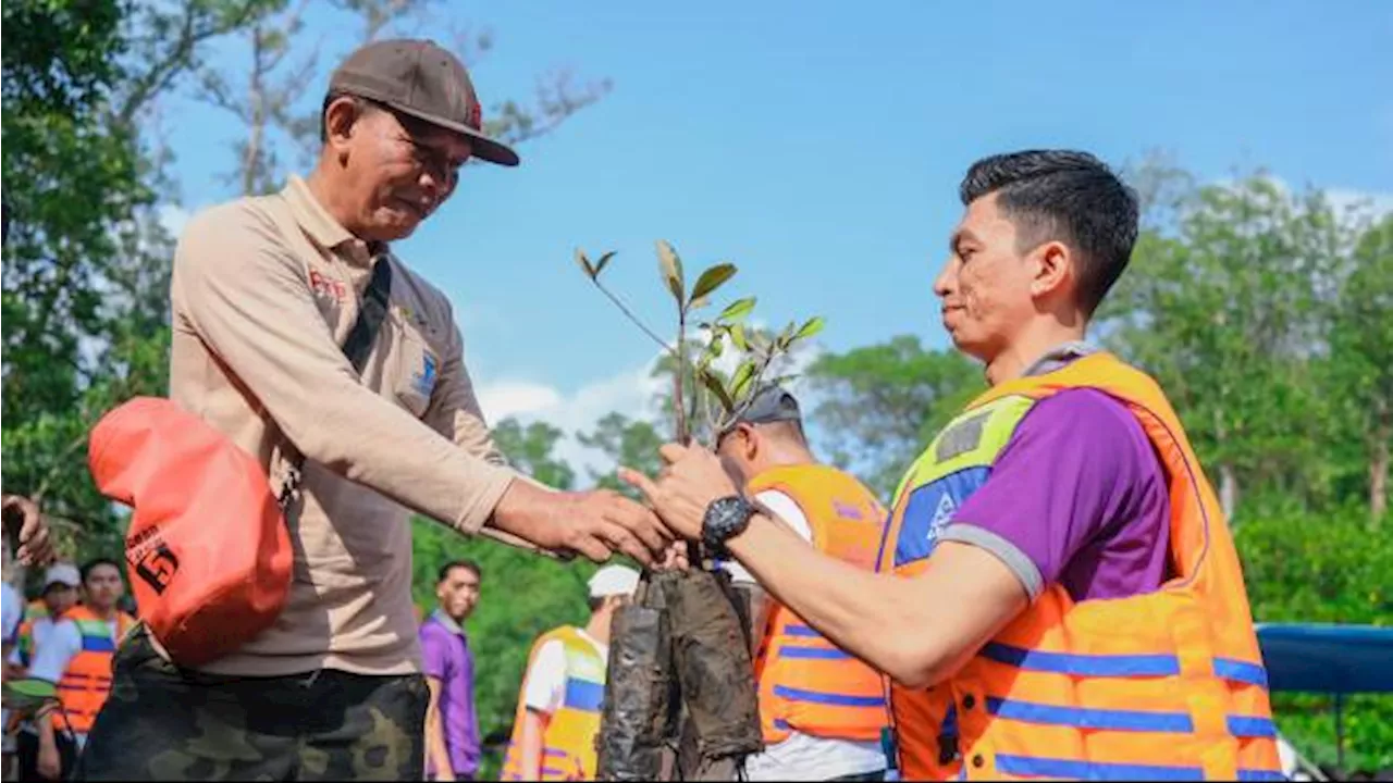 Kembangkan Hutan Mangrove di Bali, PLN Sukses Jaga Lingkungan dan Berdayakan Masyarakat