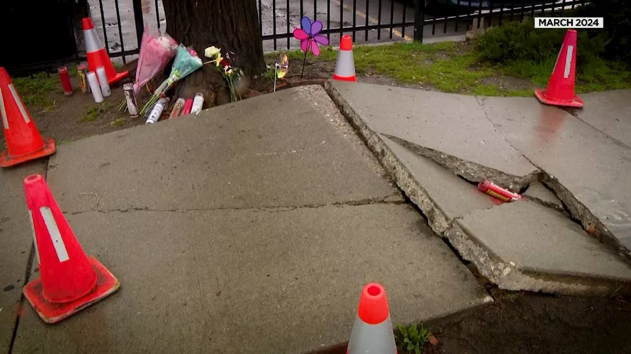 Before scooter rider crashed in Salt Lake City, complaint warned sidewalk was 'a neck breaker'