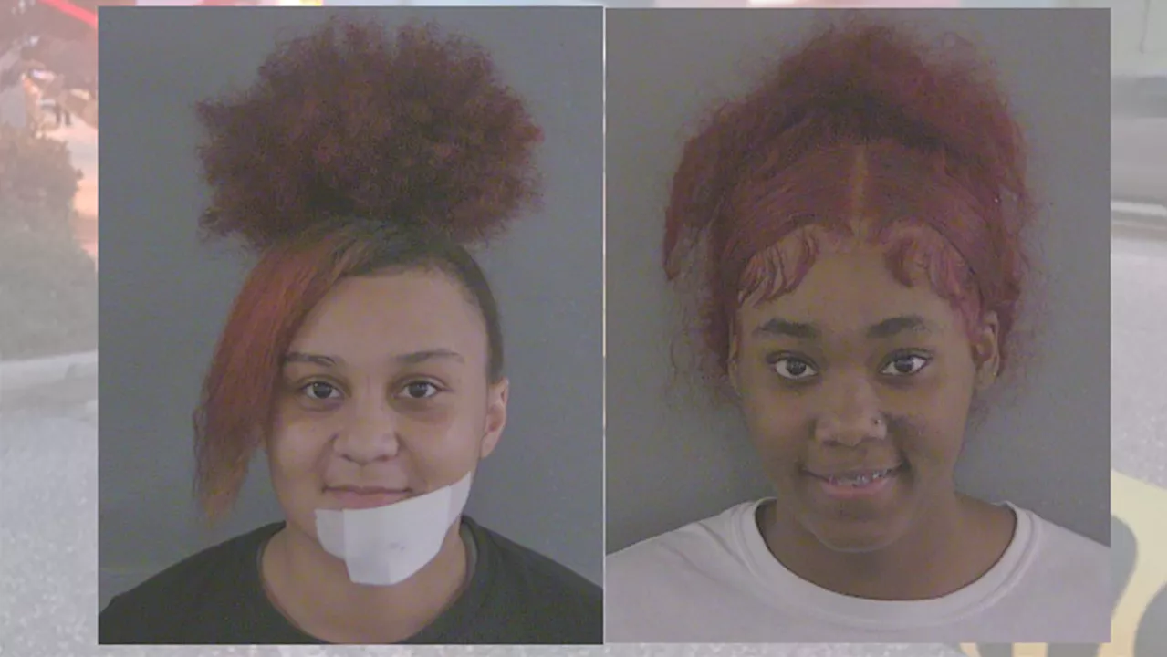 Young women battle, bloody scene involved biting faces; both go to hospitals, then jail