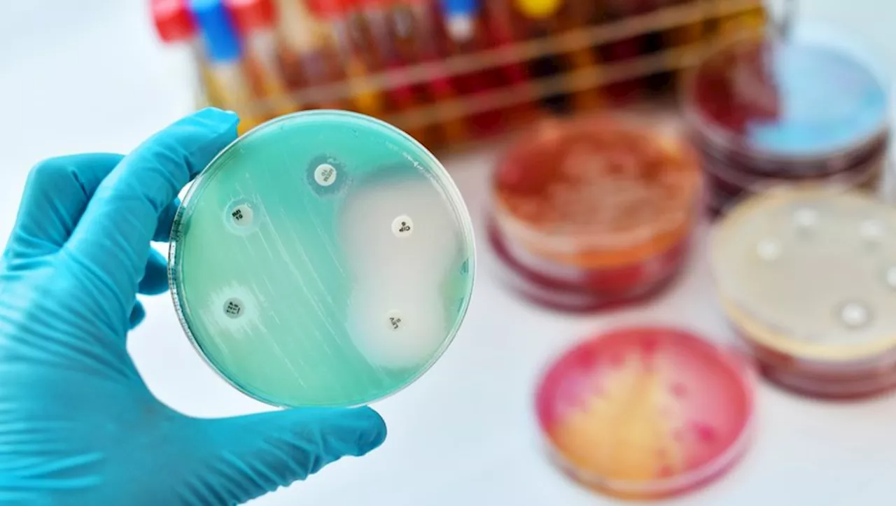 Résistance aux antibiotiques : 750 000 décès pourraient être évités chaque année