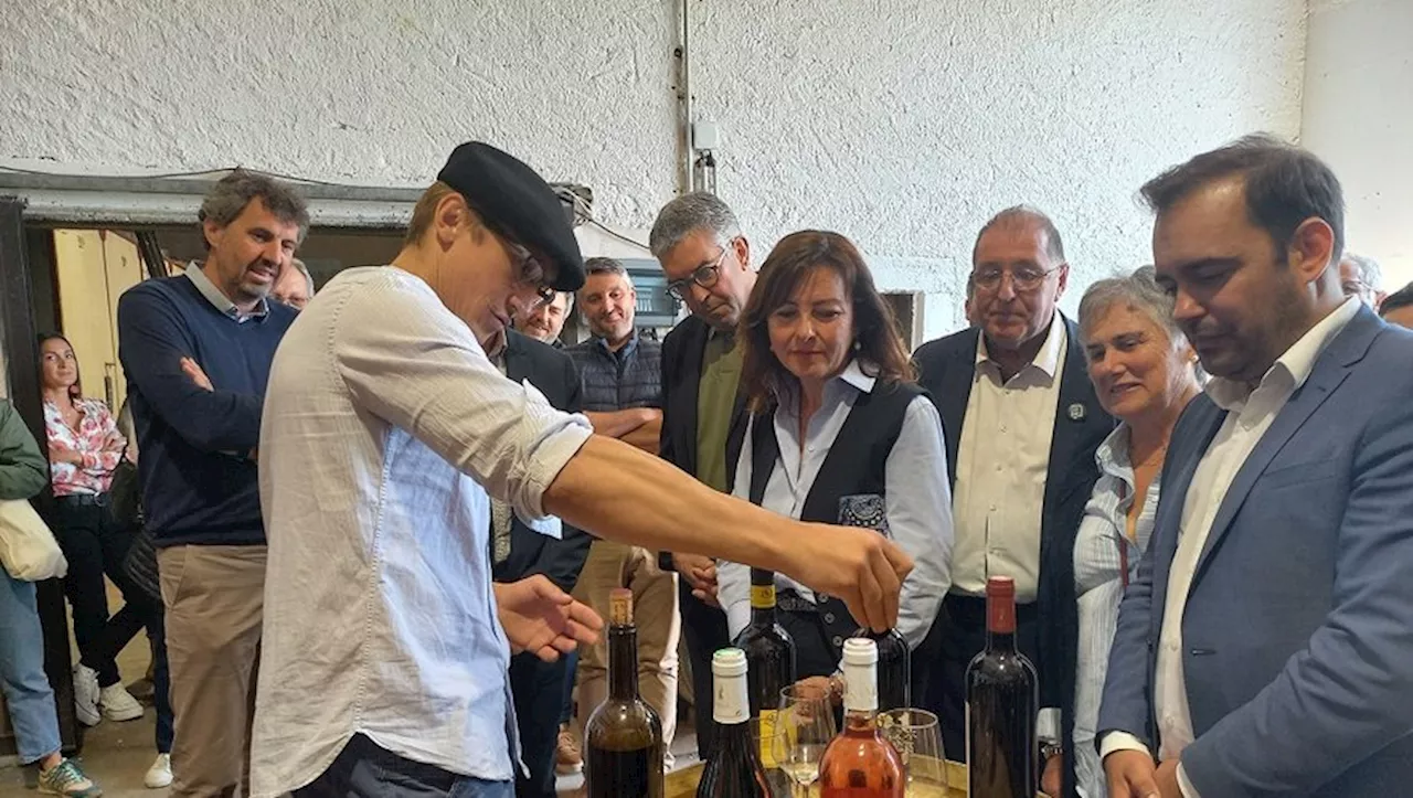 Au chevet des vignerons du Lot, Carole Delga annonce la création d’une nouvelle aide