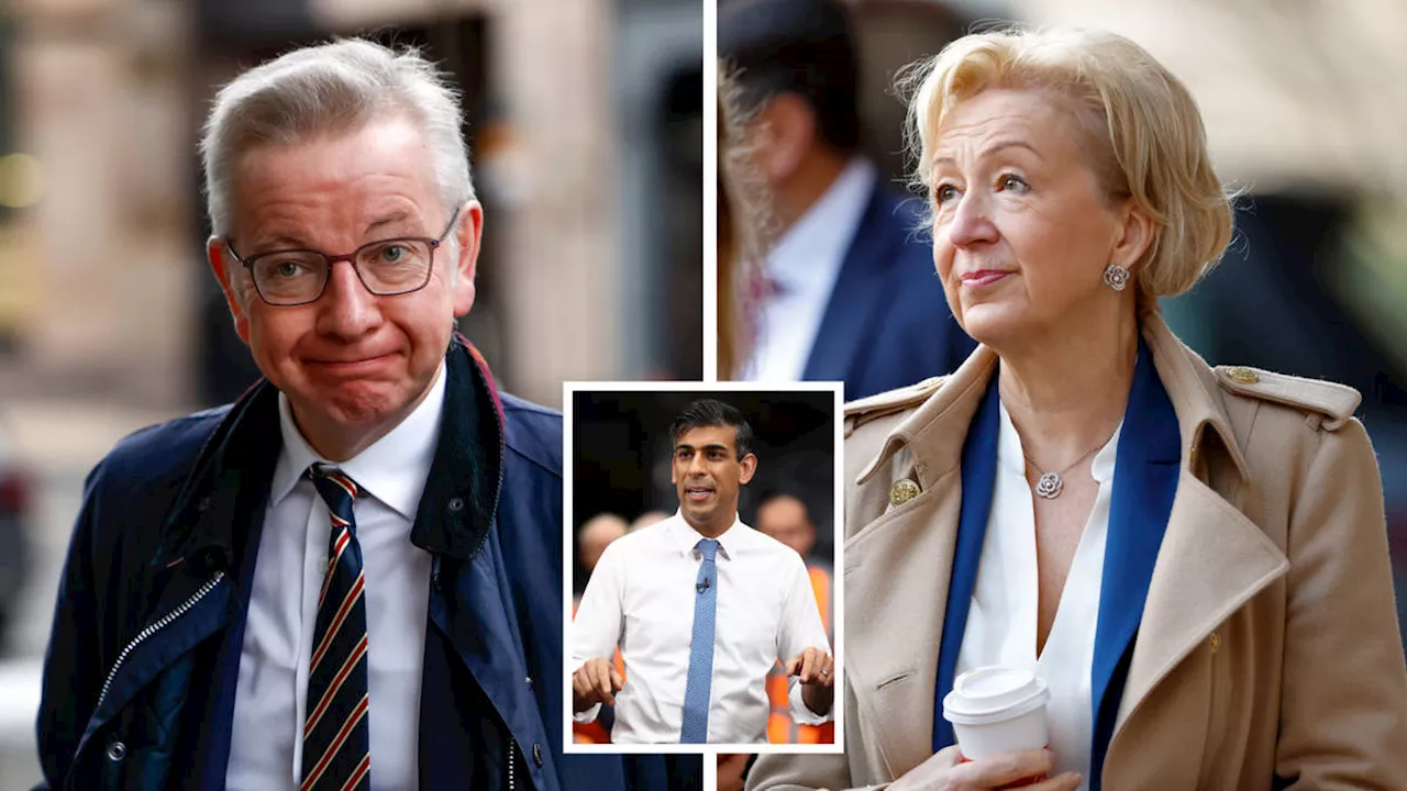 Michael Gove and Dame Andrea Leadsom to stand down at General Election as Tory exodus continues