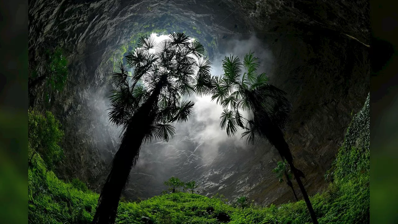 China's 'heavenly pits': The giant sinkholes that have ancient forests growing within