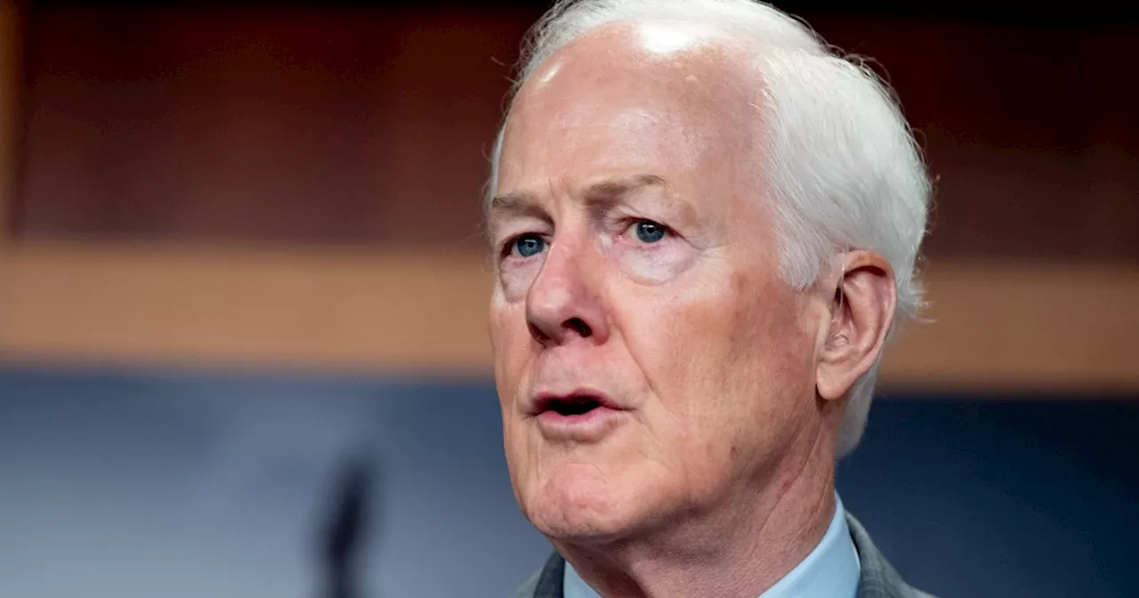 Sen. John Cornyn defends Justice Samuel Alito’s flag incidents