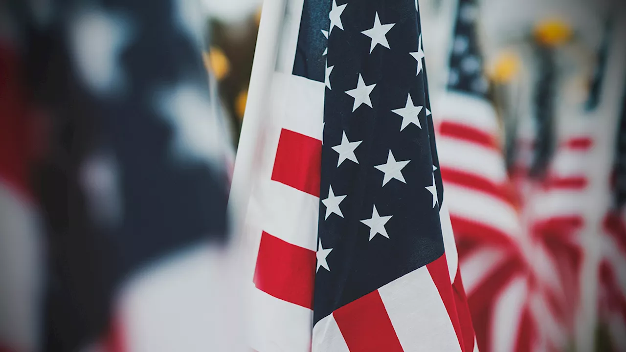 Suburban flag display honors fallen service members from Illinois