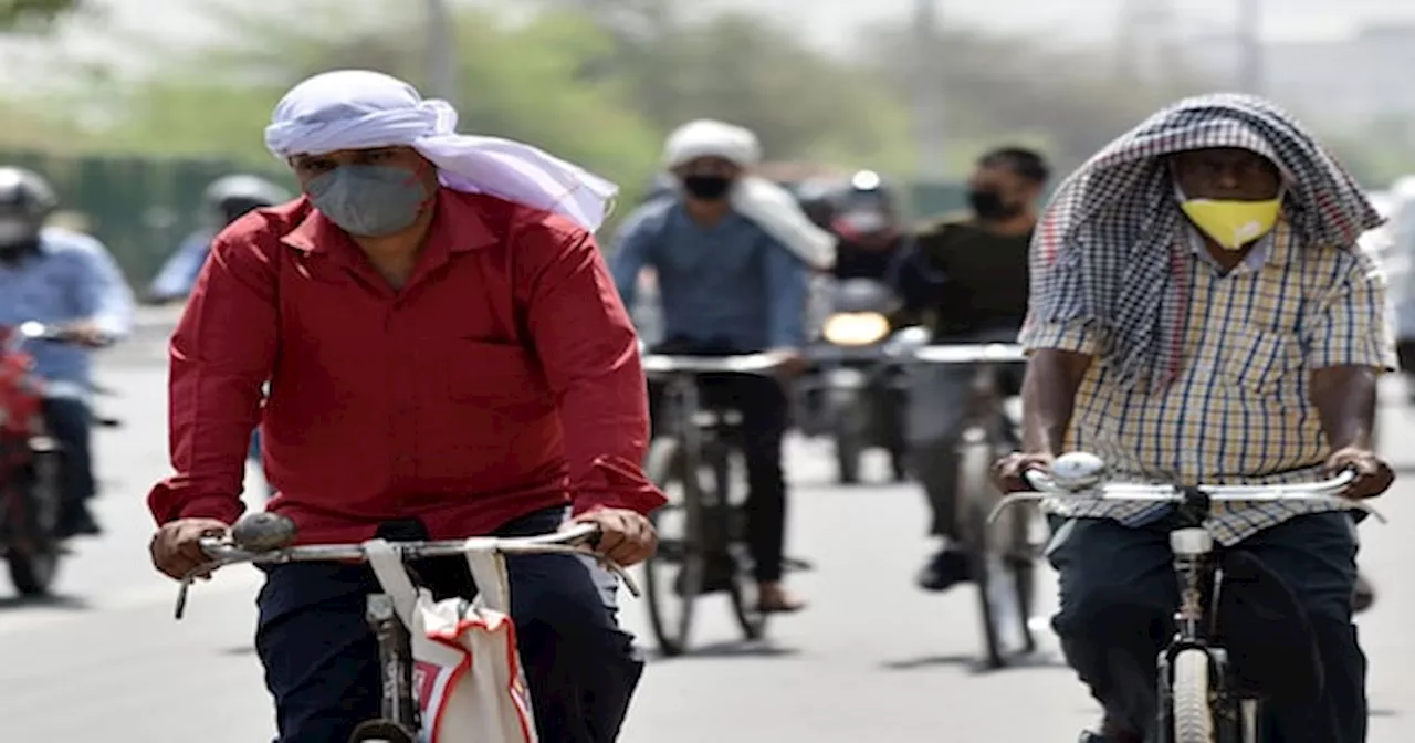 Heat Wave: Rajasthan में Temperature 48 पार, IMD का Alert, Barmer बना सबसे गर्म शहर