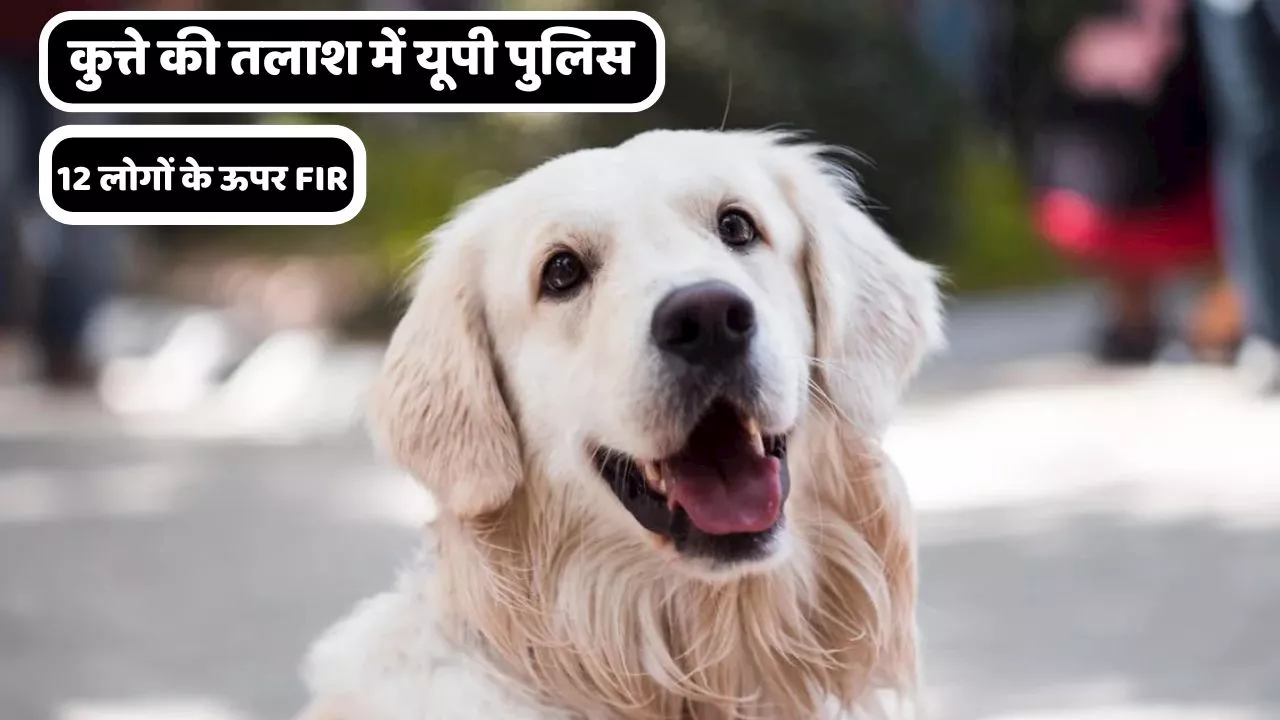 जज का चोरी हुआ DOG...12 लोगों के ऊपर FIR, कुत्ते की तलाश में जुटी यूपी पुलिस!