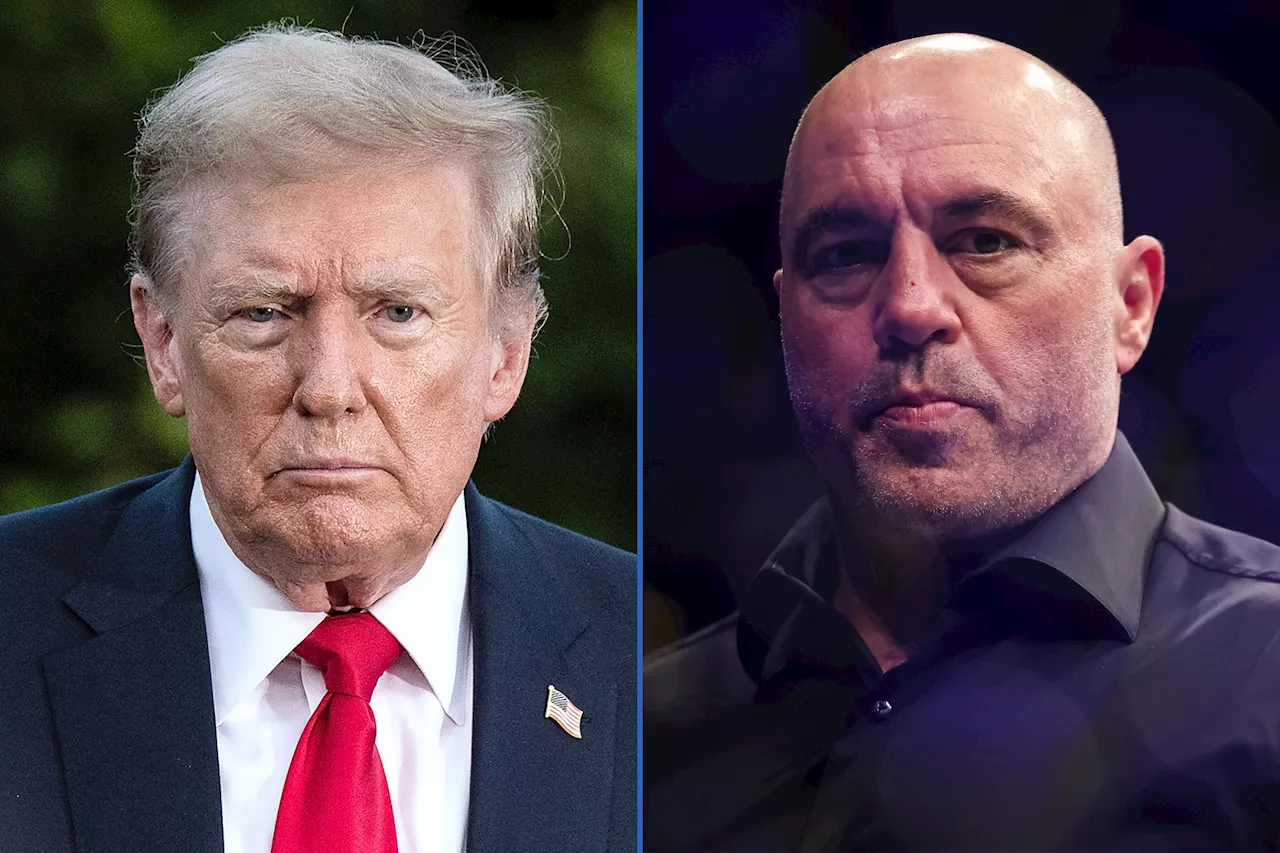 Joe Rogan Weighs In on Donald Trump Trial—'Not Good'