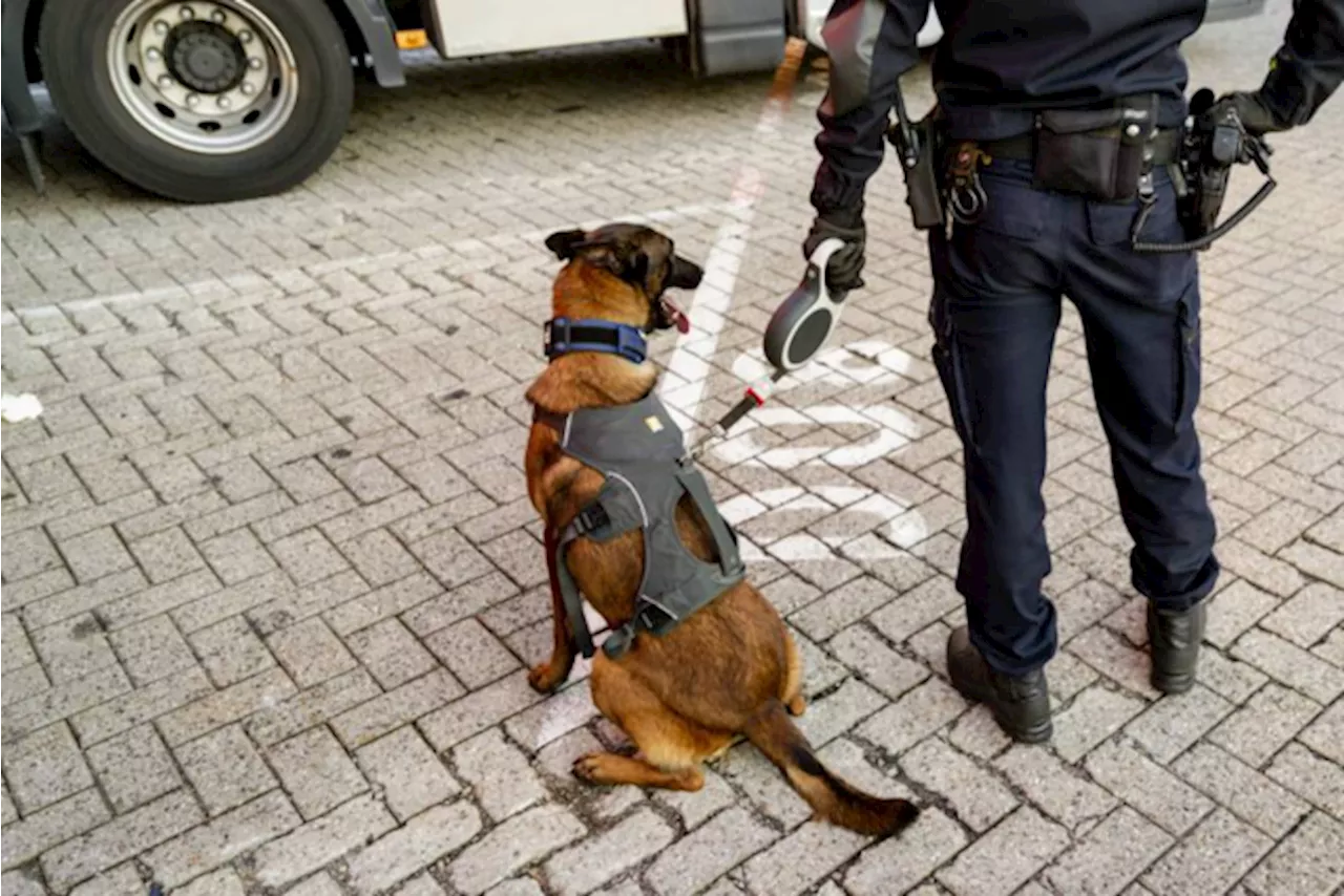 Nederlands arrestatieteam moet eigen aanvalshond neerschieten