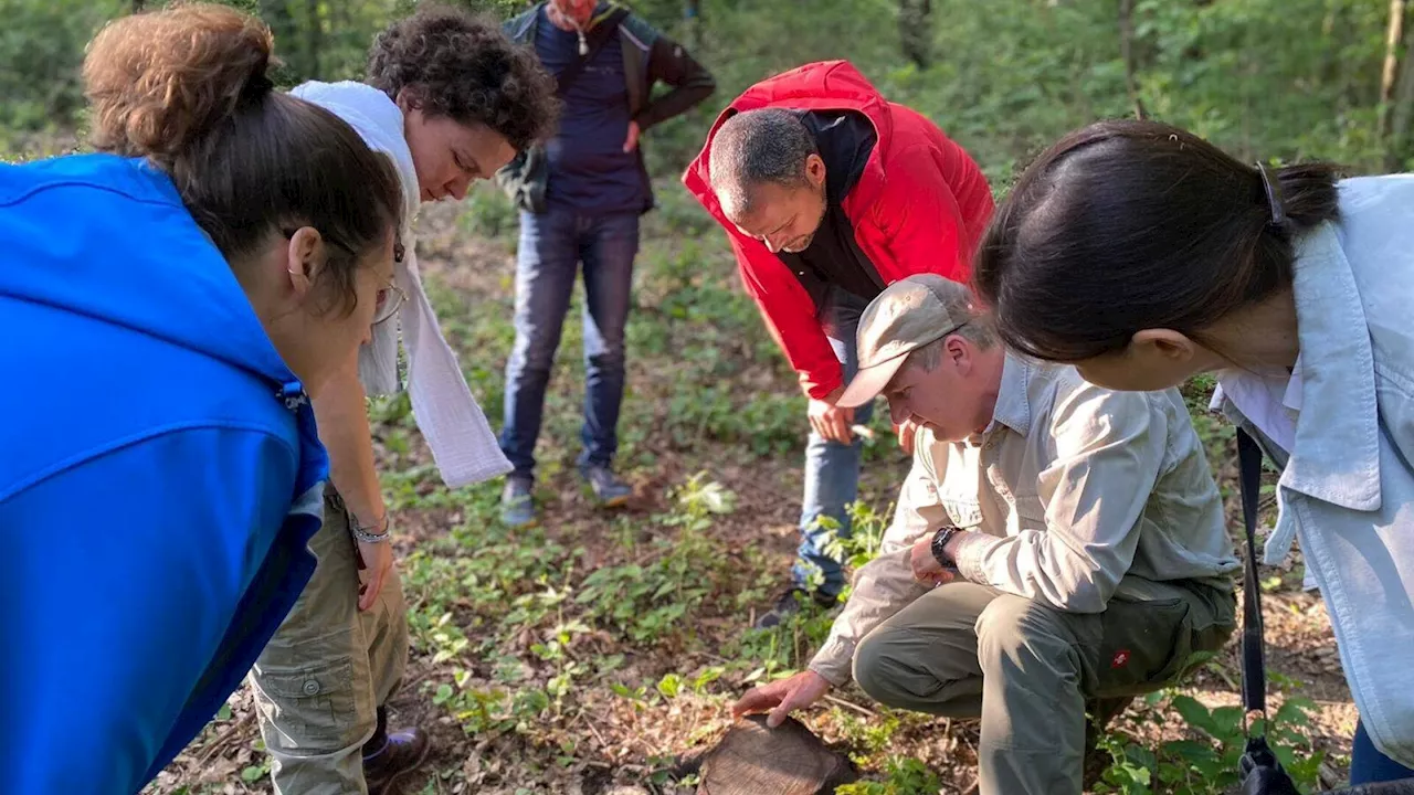 Göttlesbrunner Winzer entführt in das Multiversum Natur