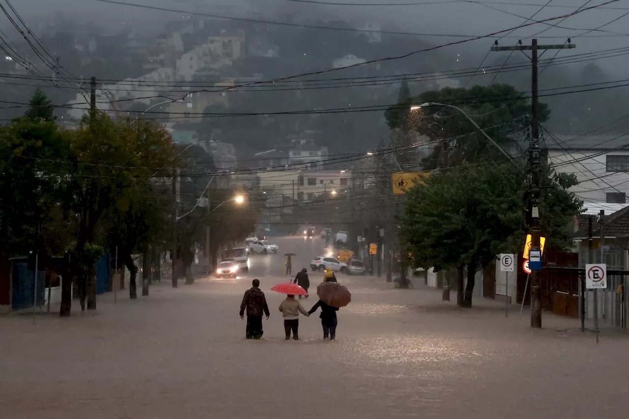 Rio Grande do Sul registra mais de 800 casos suspeitos de leptospirose