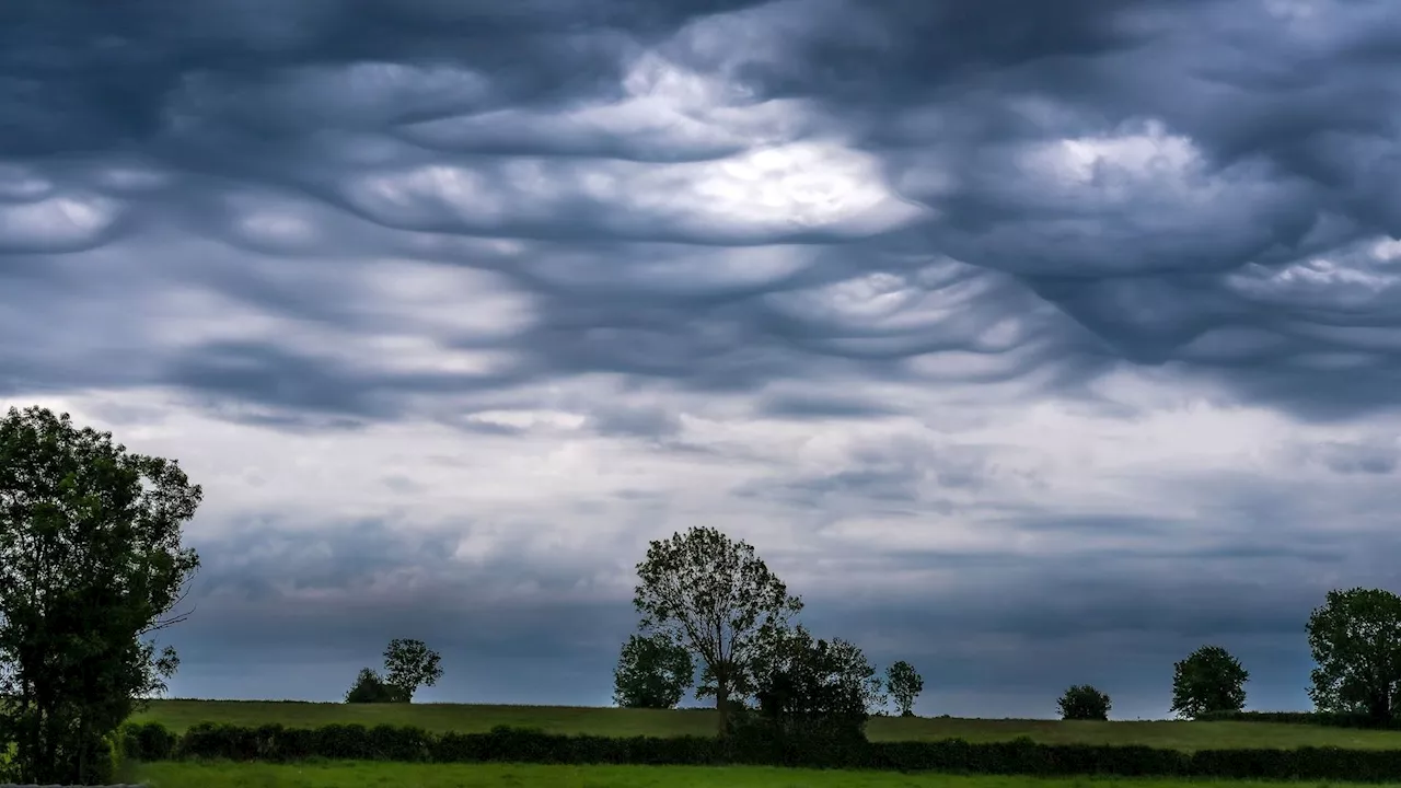 Météo en Belgique : des averses orageuses influenceront notre temps pour ce vendredi