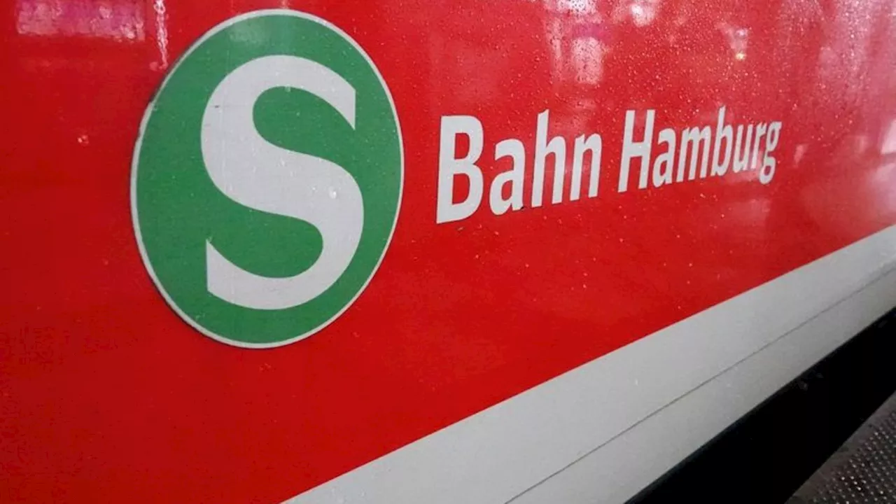 Bundespolizei: Sexuelle Belästigung und Körperverletzung in S-Bahn