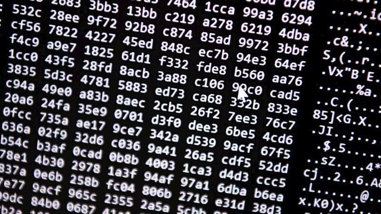 Kriminalität: Hackerangriff auf Internetseiten im Nordosten abgewehrt