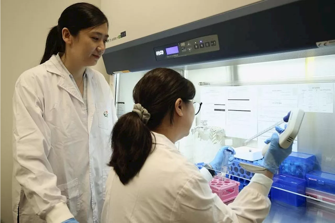 $50m grant for research to find better ways of treating lymphoma, colorectal cancer in S’pore