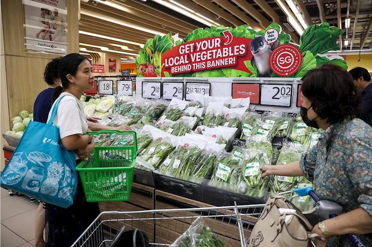 Home-grown greens sold for as low as $1.78 per pack at FairPrice in pilot to help local farms