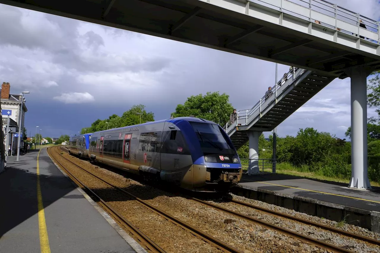 SNCF : la circulation des trains perturbée en direction de Pau, depuis Bayonne et Dax, après un vol de câbles à Puyoô