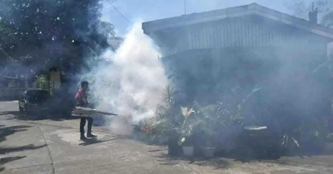 Dengue sa 2024 mas taas sa 2023