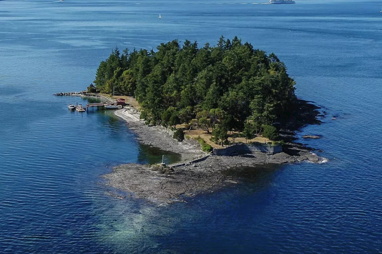 Private island off Vancouver Island going for $7 million