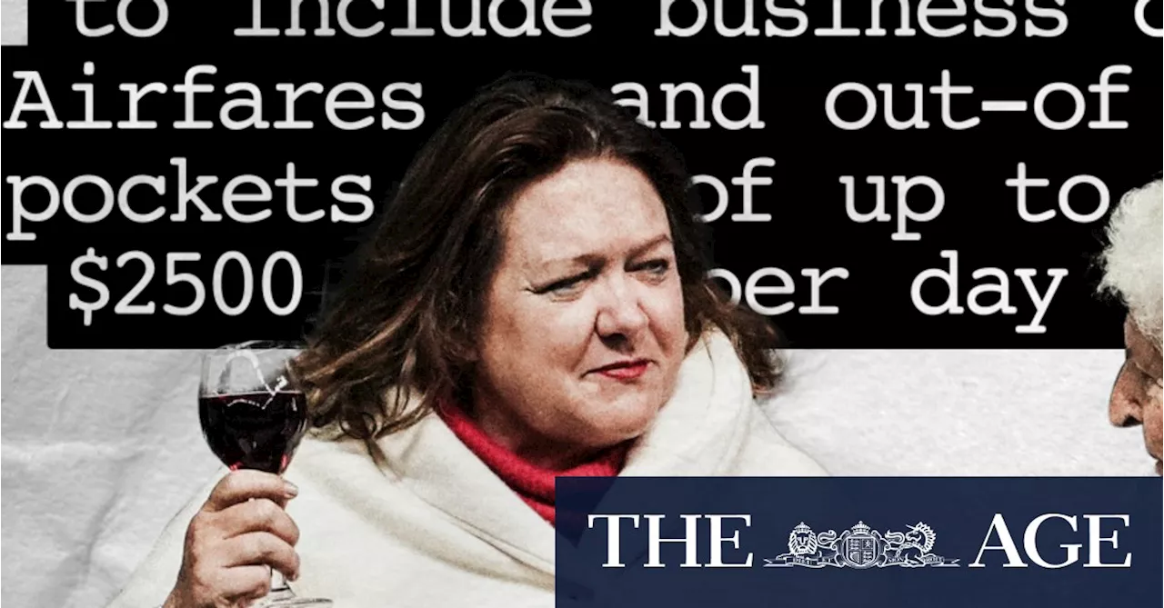 Influence and access: What Gina Rinehart wanted in return for Olympic-sized sponsorship