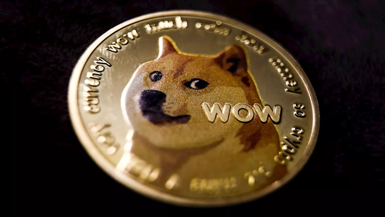 R.I.P. Kabosu, the real Shiba Inu behind the Doge meme