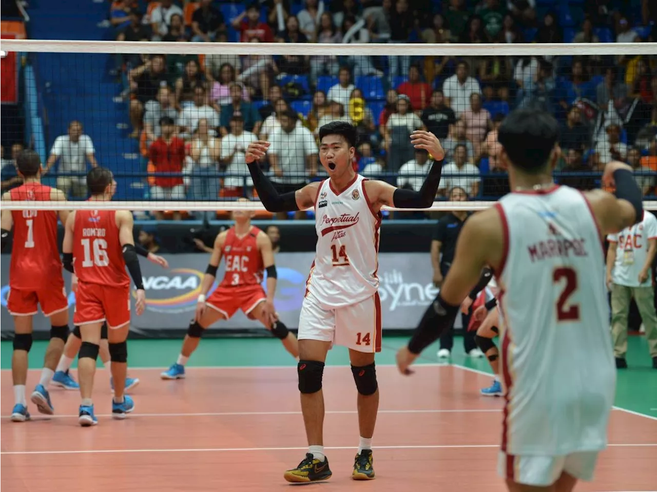 Perpetual Help aims for title clincher