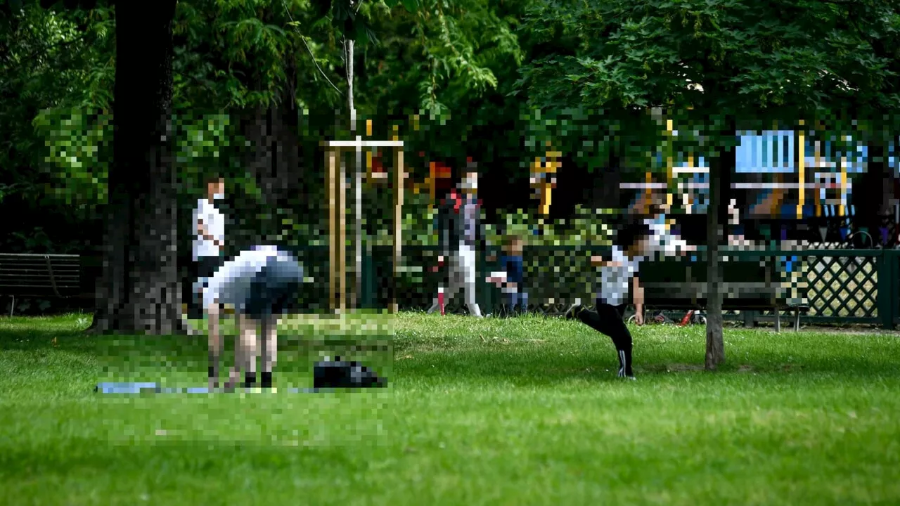 Orrore al parco: giovane decapita un uccello per divertimento