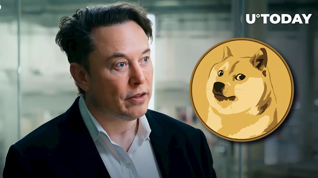 SHIB and DOGE Prices React to Elon Musk Paying Tribute to Kabosu