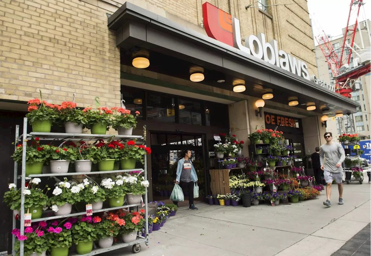 Competition Bureau probes alleged anticompetitive conduct by Loblaws, Sobeys owners