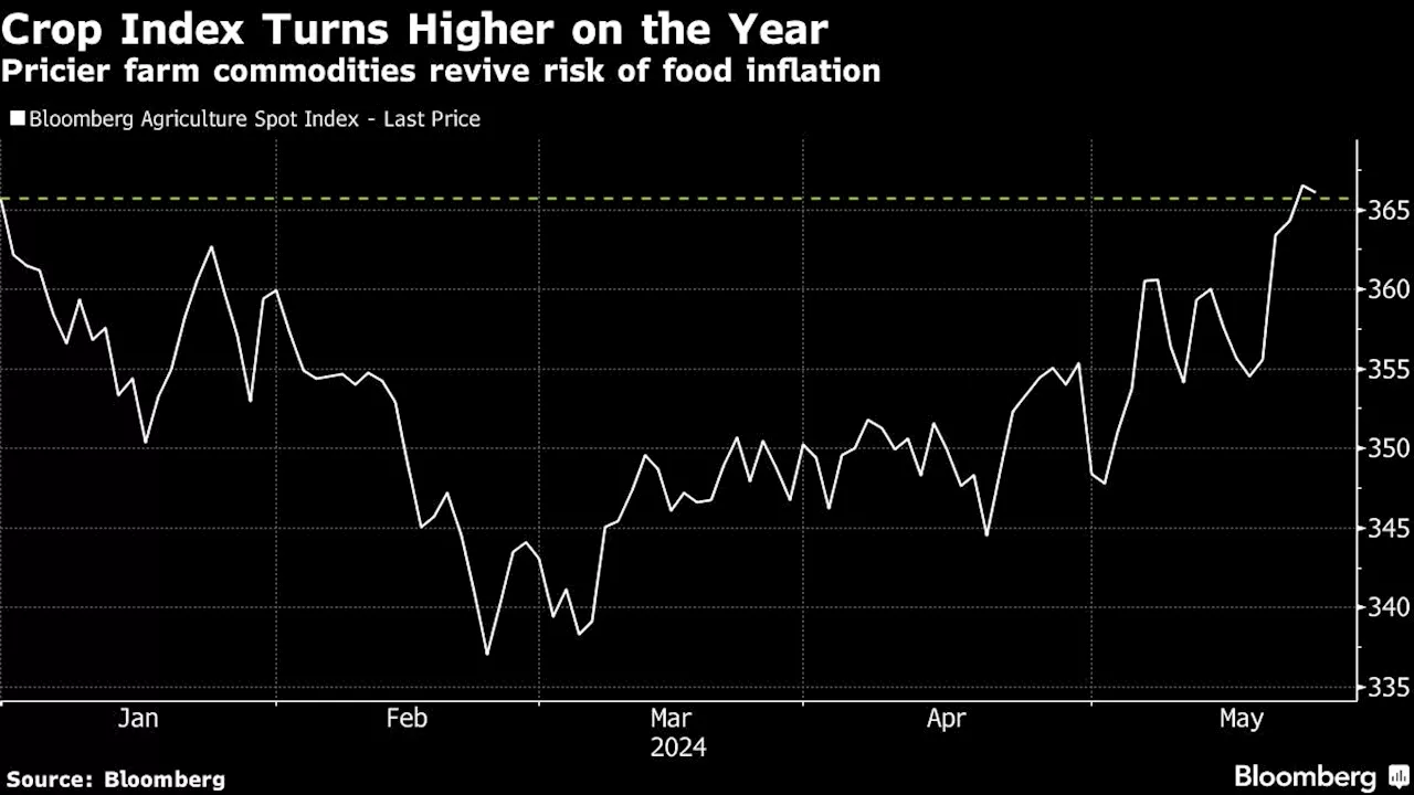 Food Inflation Fears Rekindled as Crop Index Erases 2024 Loss