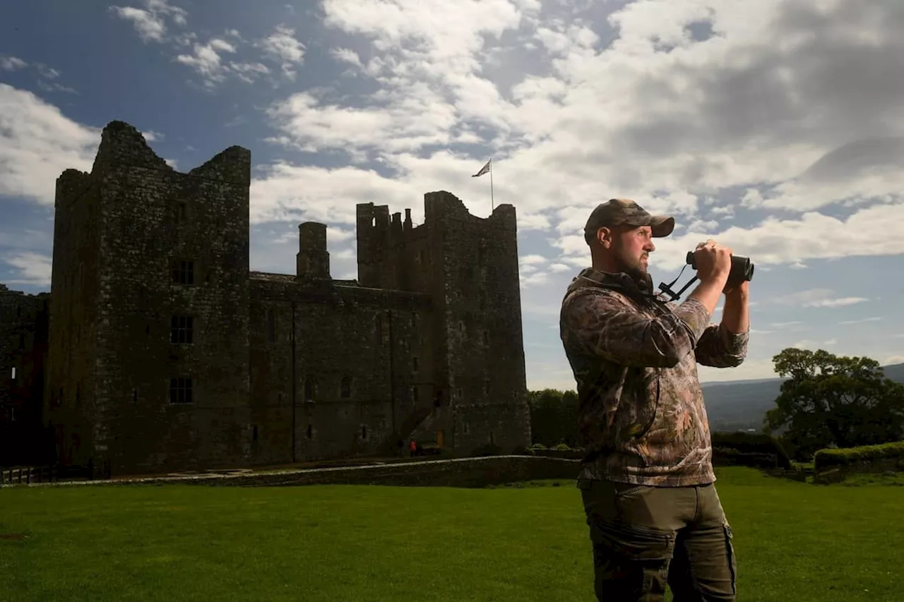 Curlews: Yorkshire estates holding 'curlew safaris' to help wading birds thrive in the Dales