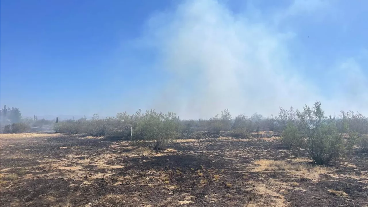 Sidewinder Fire near Florence burns more than 50 acres