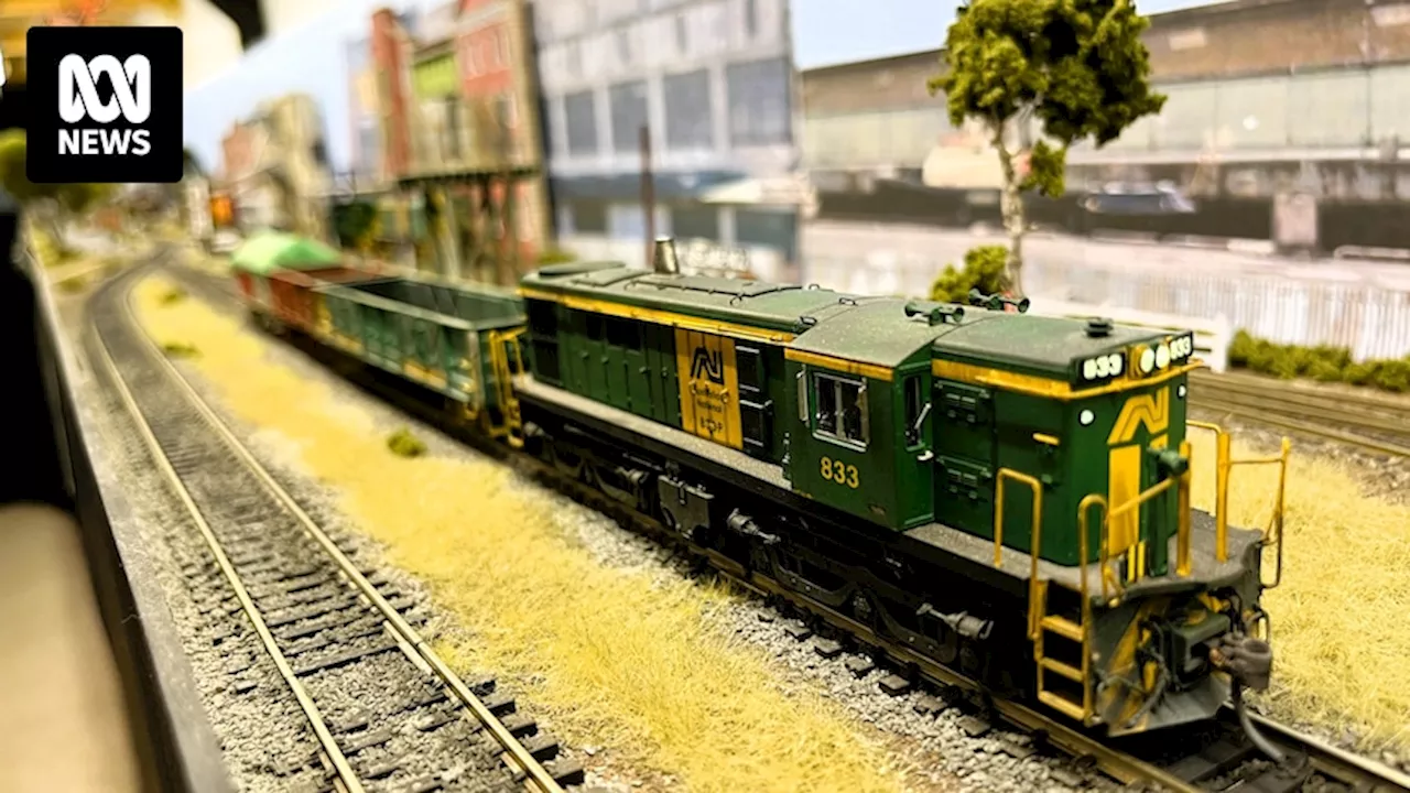 Model train enthusiast recreates Adelaide to Victoria broad gauge rail line in his rumpus room