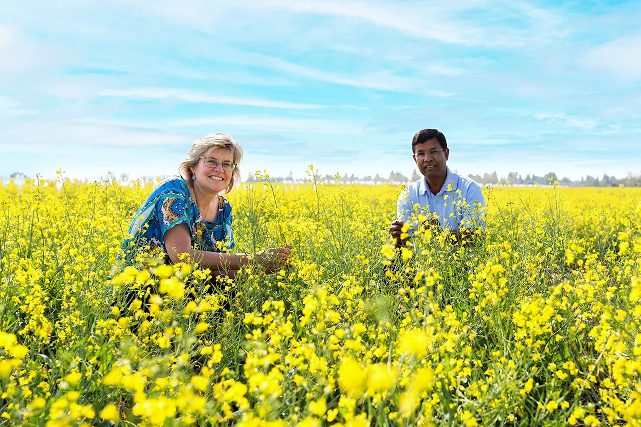 University of Alberta Grads Contribute $250B to Global Economy