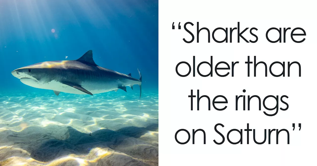 History Enthusiasts Are Sharing History Facts That Many People Would Find Shocking (50 Facts)