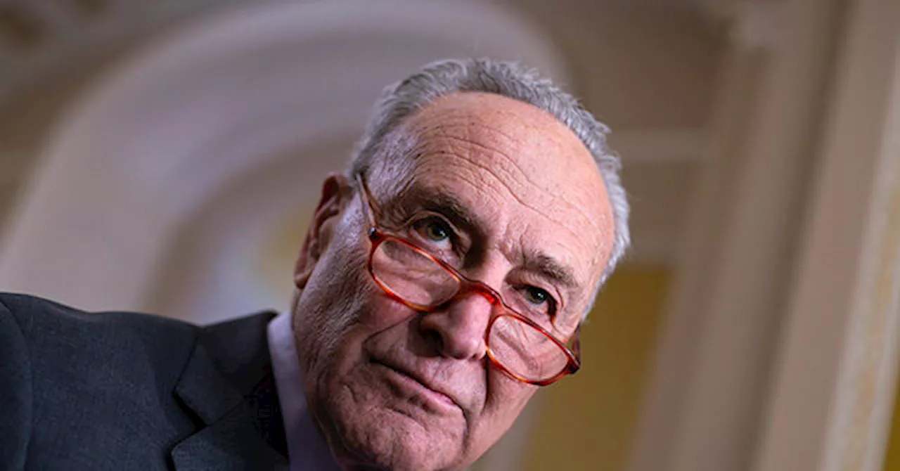 Dem Rep. Levin: Schumer Playing Politics on Border with Vote This Week