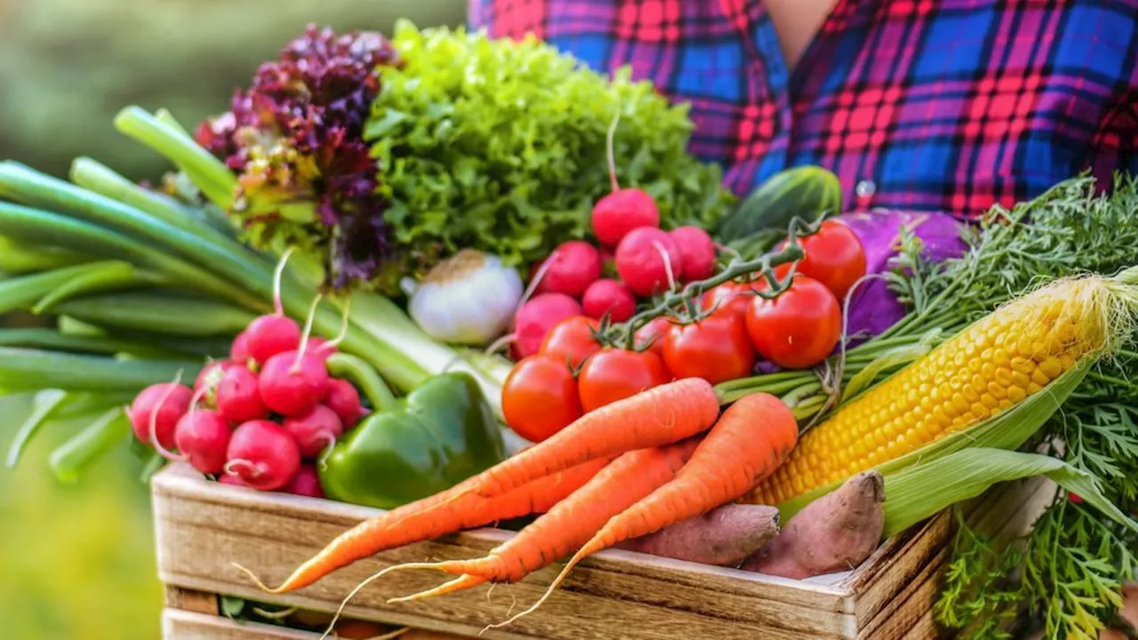 Gemüse retten: Drei köstliche Rezepte für den Frühling und Sommer