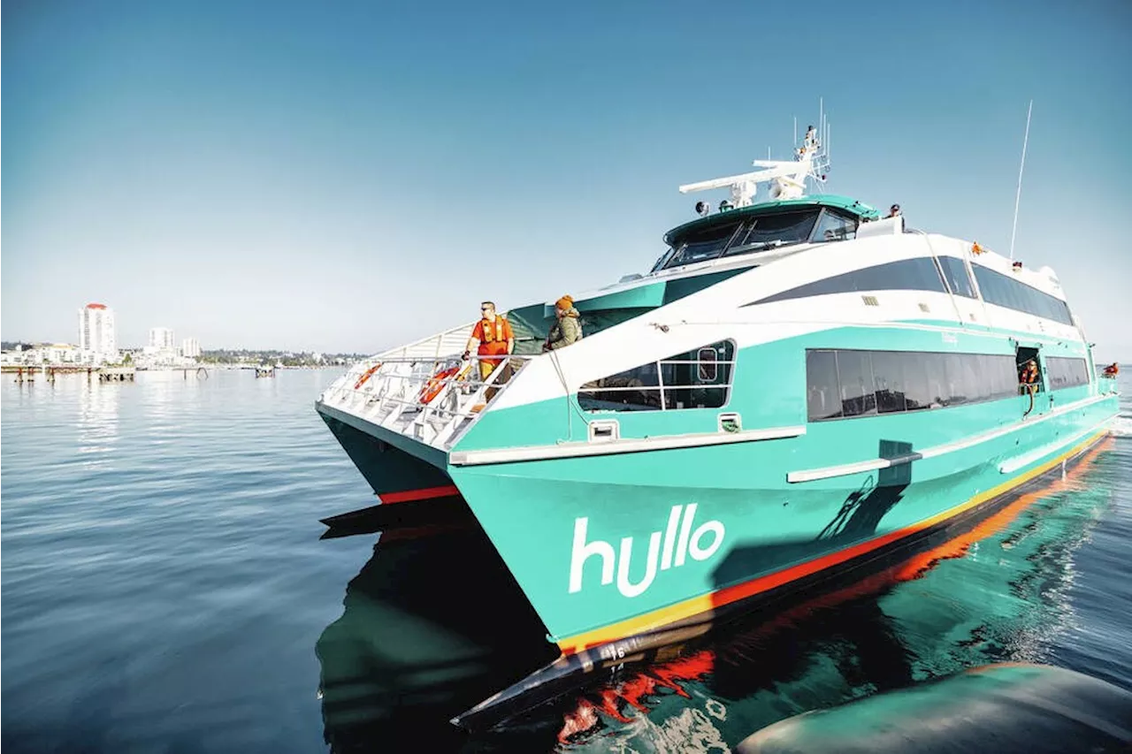 Hullo Ferries hits 250,000-passenger mark, anticipates busy summer