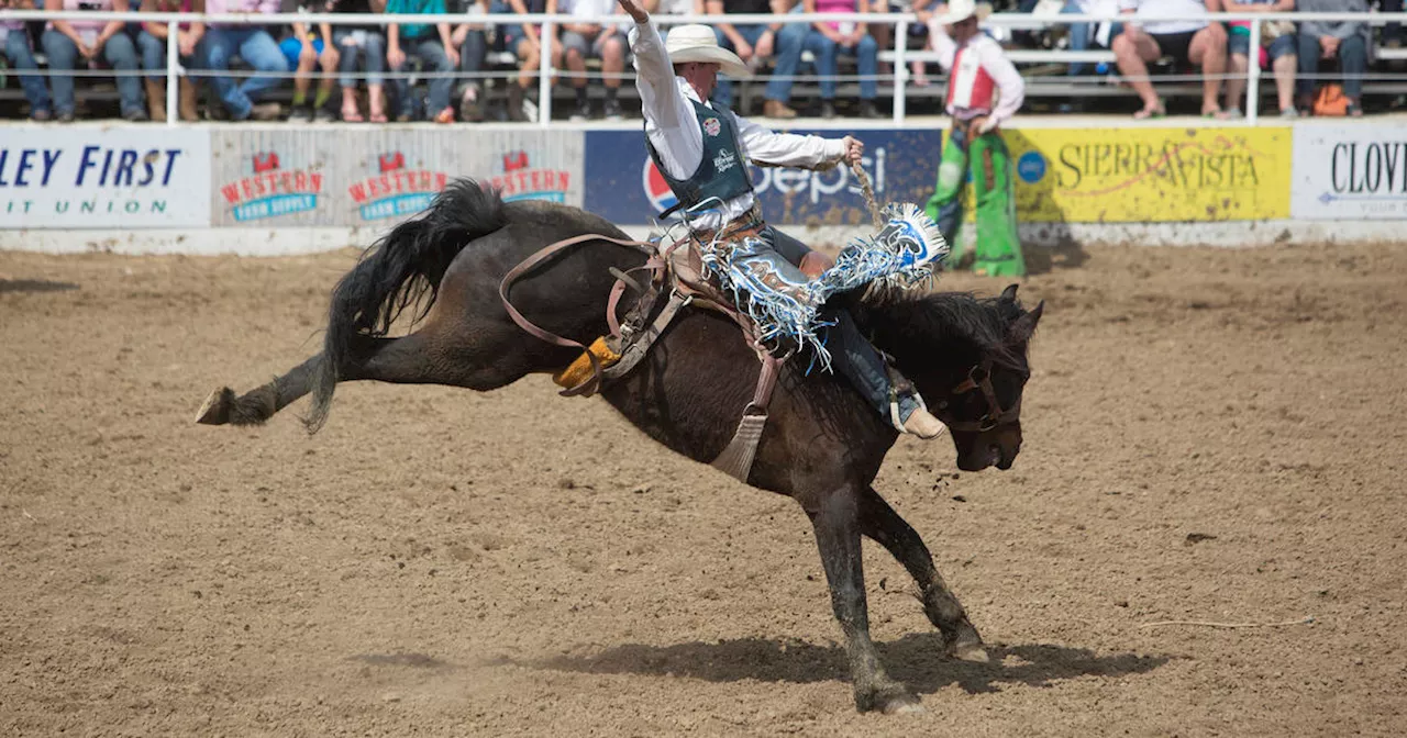 Rodeo star Spencer Wright's son opens eyes, lifts head days after river accident